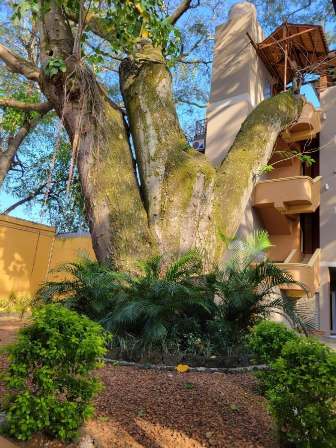 Aparthotel Real Guanacaste San Pedro Sula Esterno foto